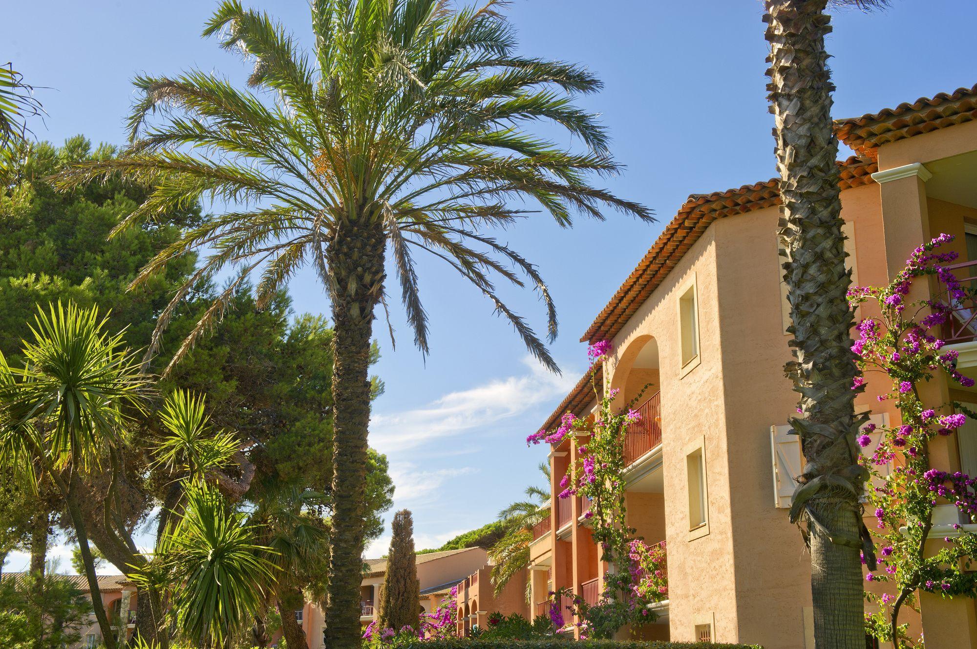 Pierre & La Pinede Hyères