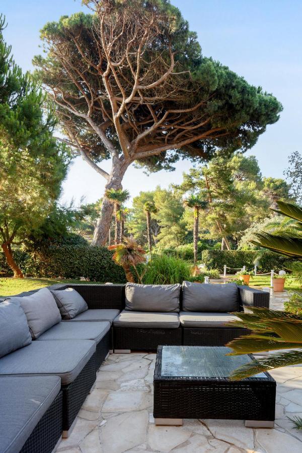 Pierre & La Pinede Hyeres