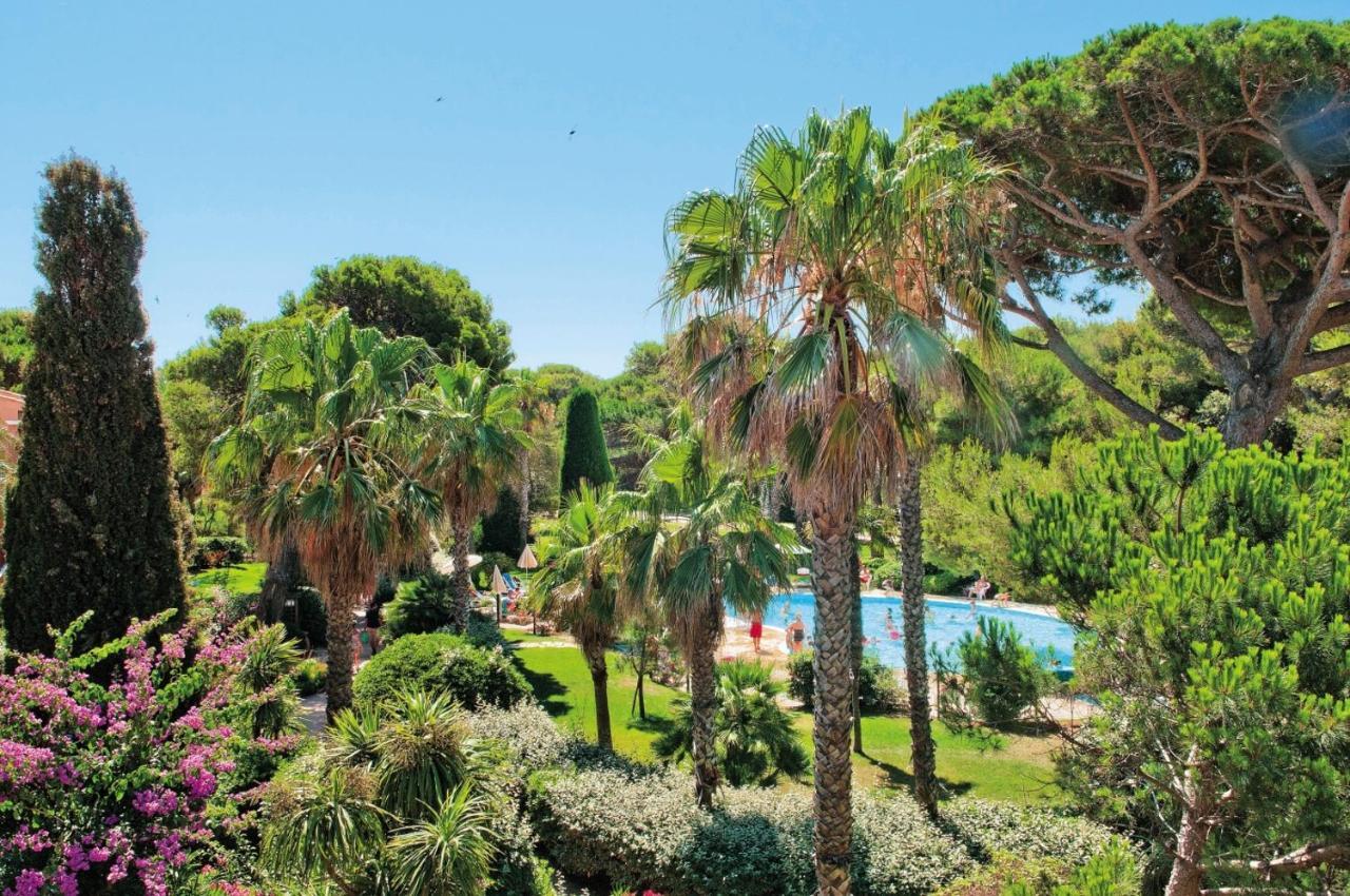 Pierre & La Pinede Hyères